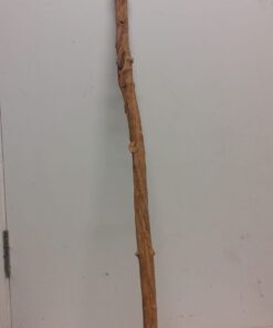 Straight Liana 2-3cm - Long - 10