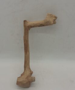Java Wood - Single Stem - Small 7