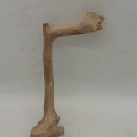 Java Wood - Single Stem - Small 7