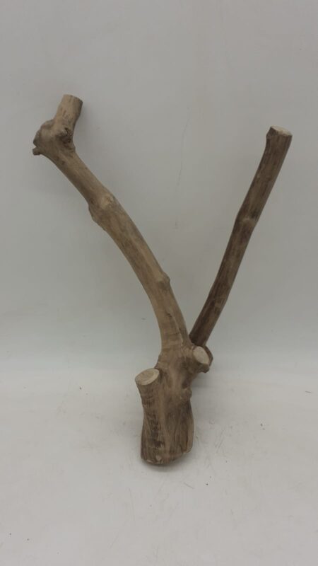 Java Wood - Double Stem - Small 4