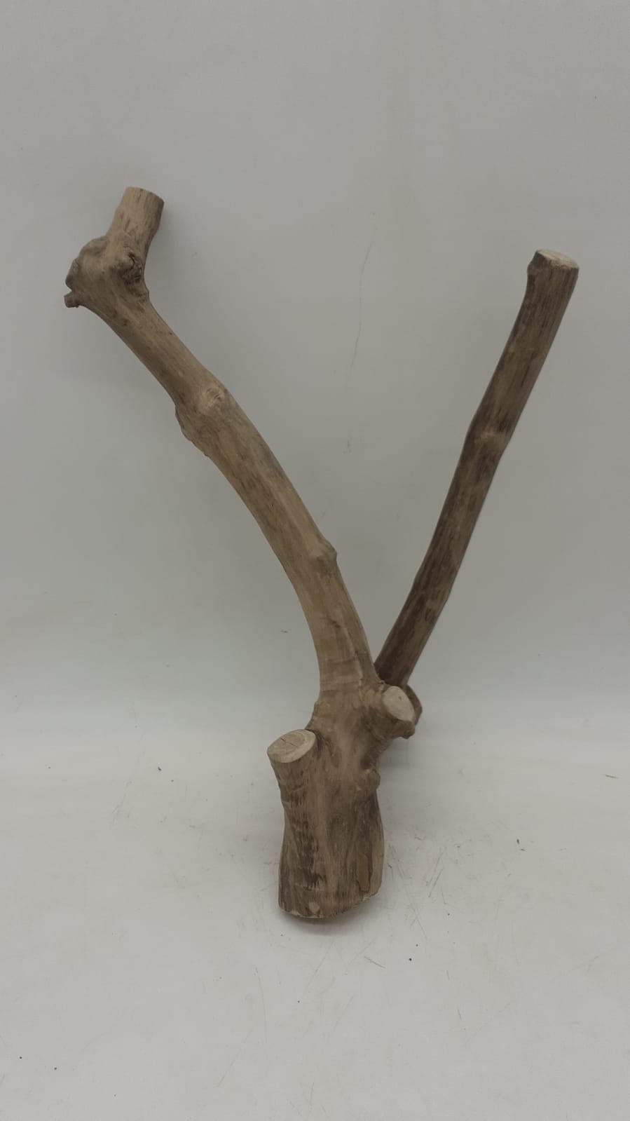 Java Wood - Double Stem - Small 4