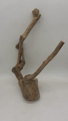 Java Wood - Double Stem - Large 9