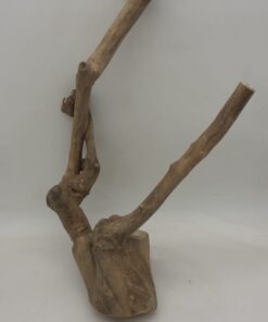 Java Wood - Double Stem - Large 9