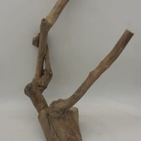 Java Wood - Double Stem - Large 9