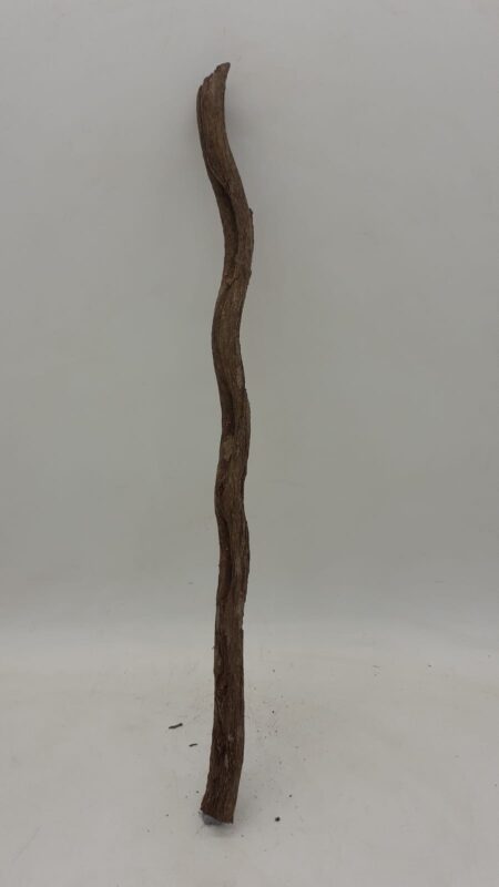 Monkey Ladder Liana - Short - 4