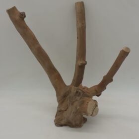 Java Wood - Double Stem - Small 9