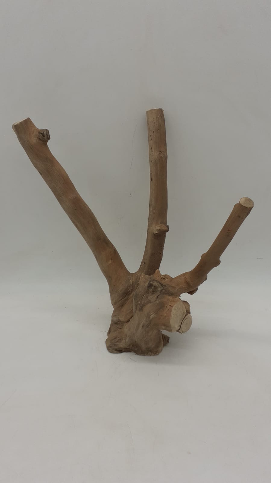 Java Wood - Double Stem - Small 9