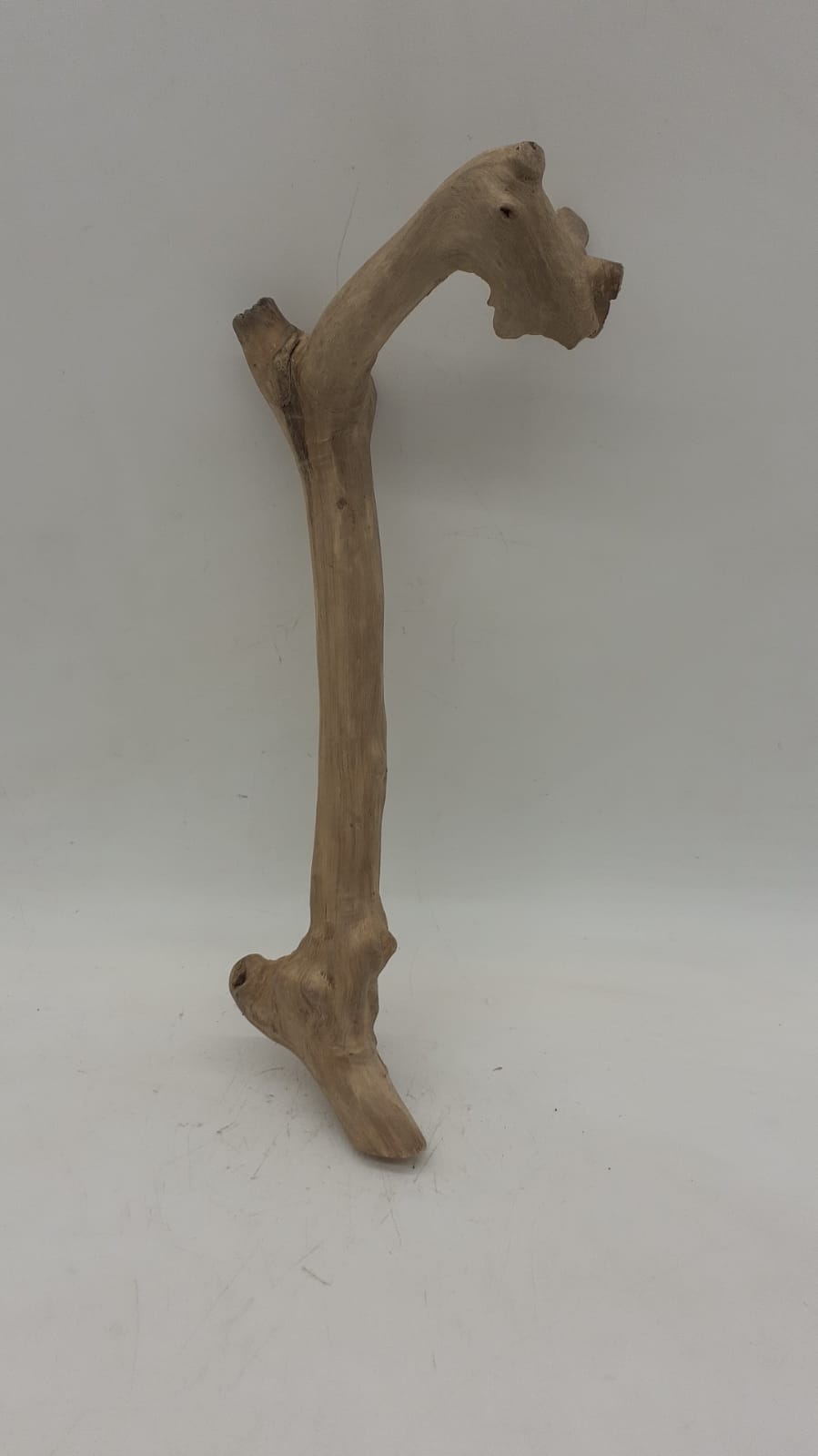 Java Wood - Single Stem - Small 3