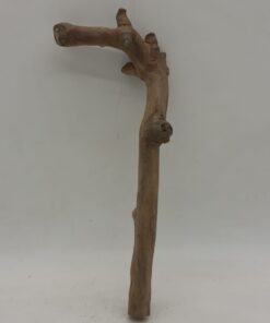 Java Wood - Single Stem - Small 1