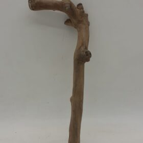 Java Wood - Single Stem - Small 1