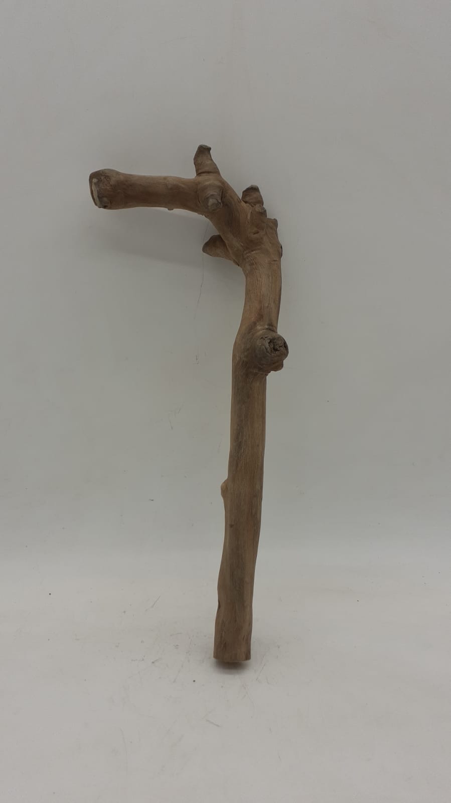 Java Wood - Single Stem - Small 1