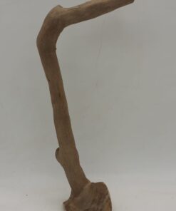 Java Wood - Single Stem - Small 9
