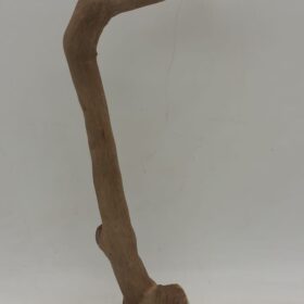 Java Wood - Single Stem - Small 9