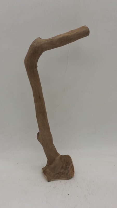 Java Wood - Single Stem - Small 9