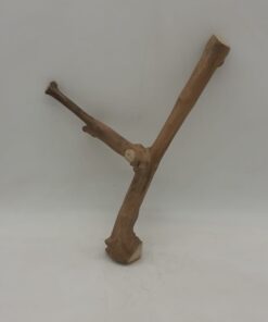 Java Wood - Double Stem - Small 10