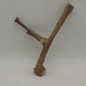 Java Wood - Double Stem - Small 10