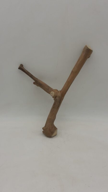 Java Wood - Double Stem - Small 10