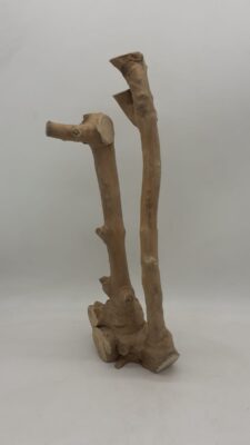 Java Wood - Double Stem - Large 10