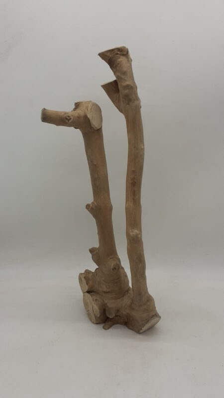 Java Wood - Double Stem - Large 10