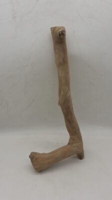 Java Wood - Single Stem - Medium 10