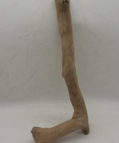 Java Wood - Single Stem - Medium 10