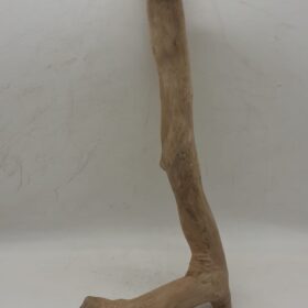 Java Wood - Single Stem - Medium 10