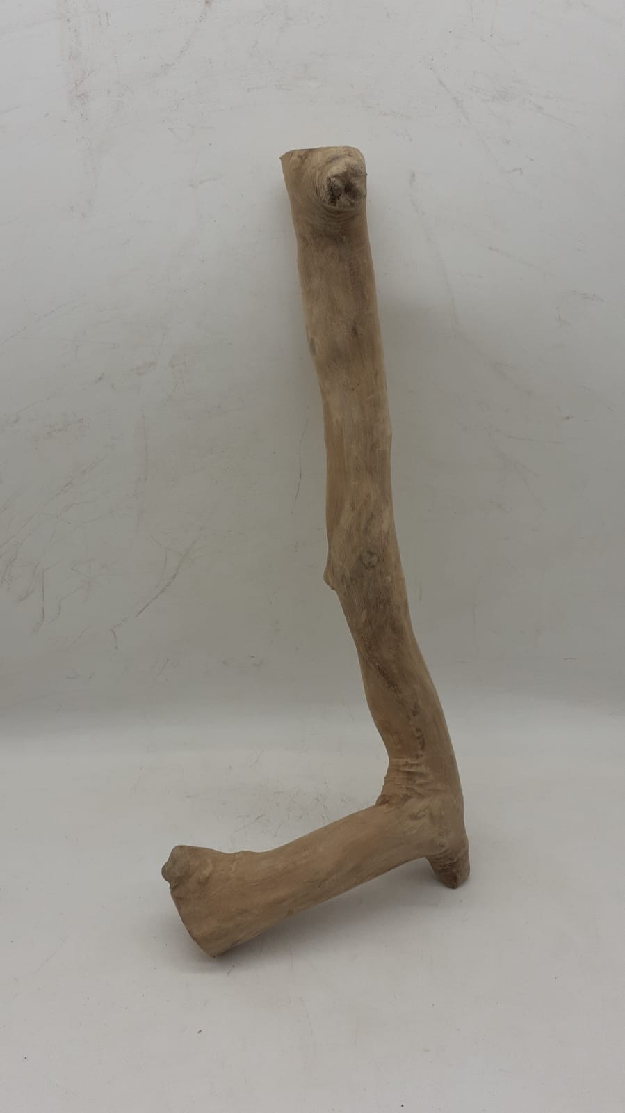 Java Wood - Single Stem - Medium 10