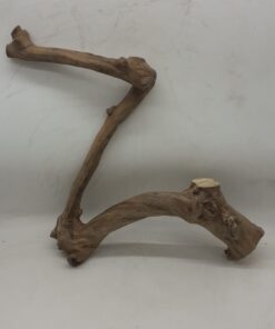 Java Wood - Single Stem - XL 4