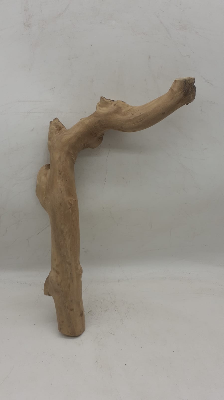 Java Wood - Single Stem - Medium 2