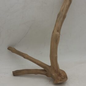 Java Wood - Double Stem - Small 2