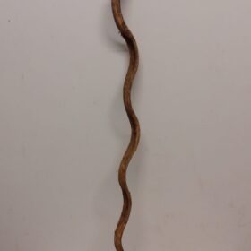 Monkey Ladder Liana - Long - 3