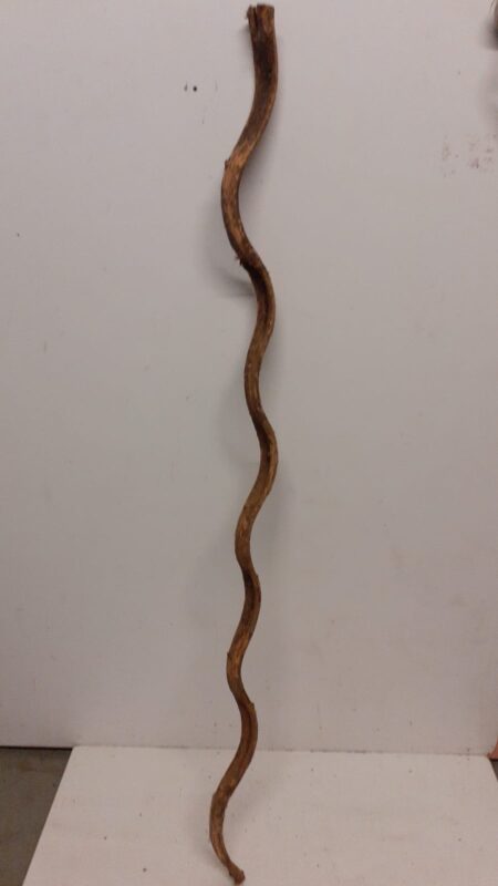 Monkey Ladder Liana - Long - 3