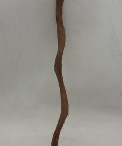 Curved Liana - Short - 1