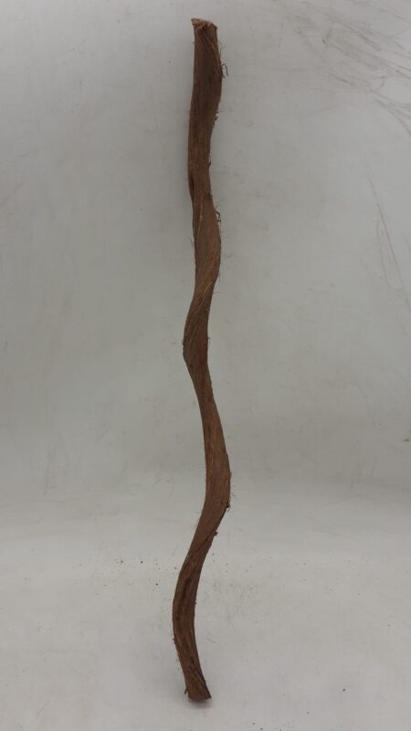 Curved Liana - Short - 1