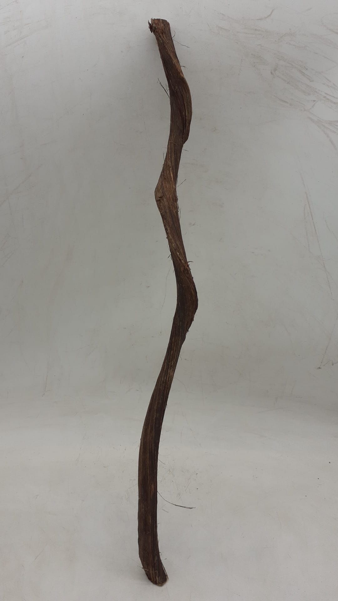 Curved Liana - Short - 2