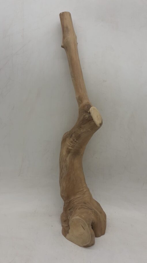 Java Wood - Single Stem - Large 2 - Buzzard Reptile & Aquatics