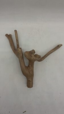 Java Wood - Double Stem - Small 3