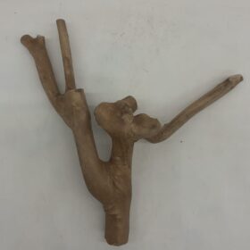 Java Wood - Double Stem - Small 3