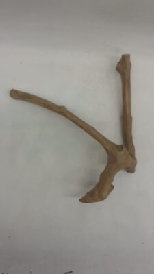 Java Wood - Double Stem - Small 6