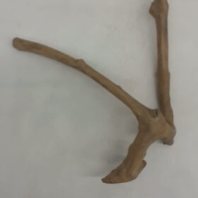 Java Wood - Double Stem - Small 6