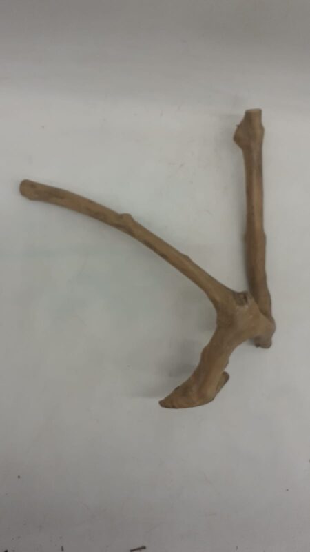 Java Wood - Double Stem - Small 6