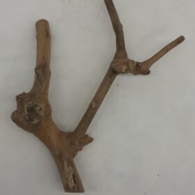 Java Wood - Double Stem - Small 7