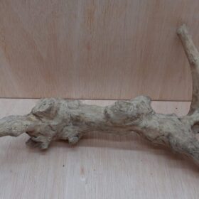 Java Wood - Double Stem - Large 3