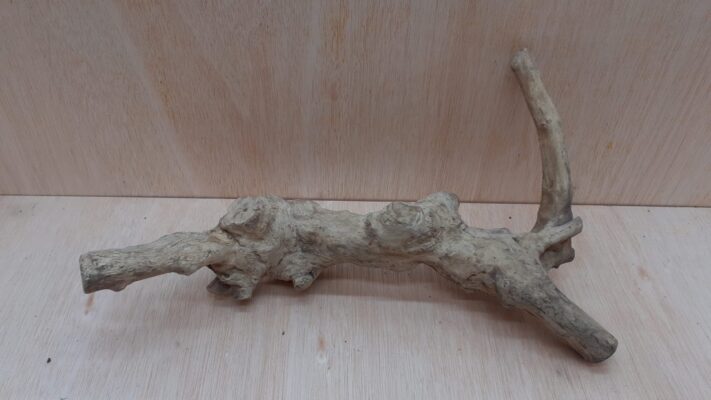 Java Wood - Double Stem - Large 3