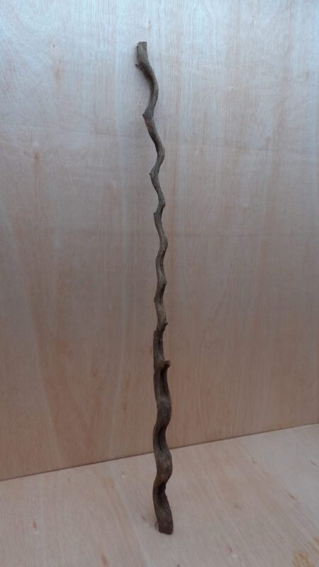 Monkey Ladder Liana - Long - 4