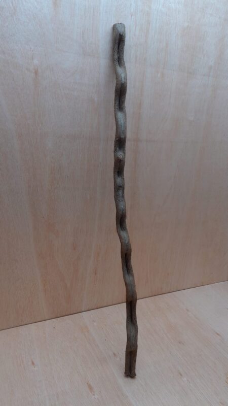 Monkey Ladder Liana - Long - 6