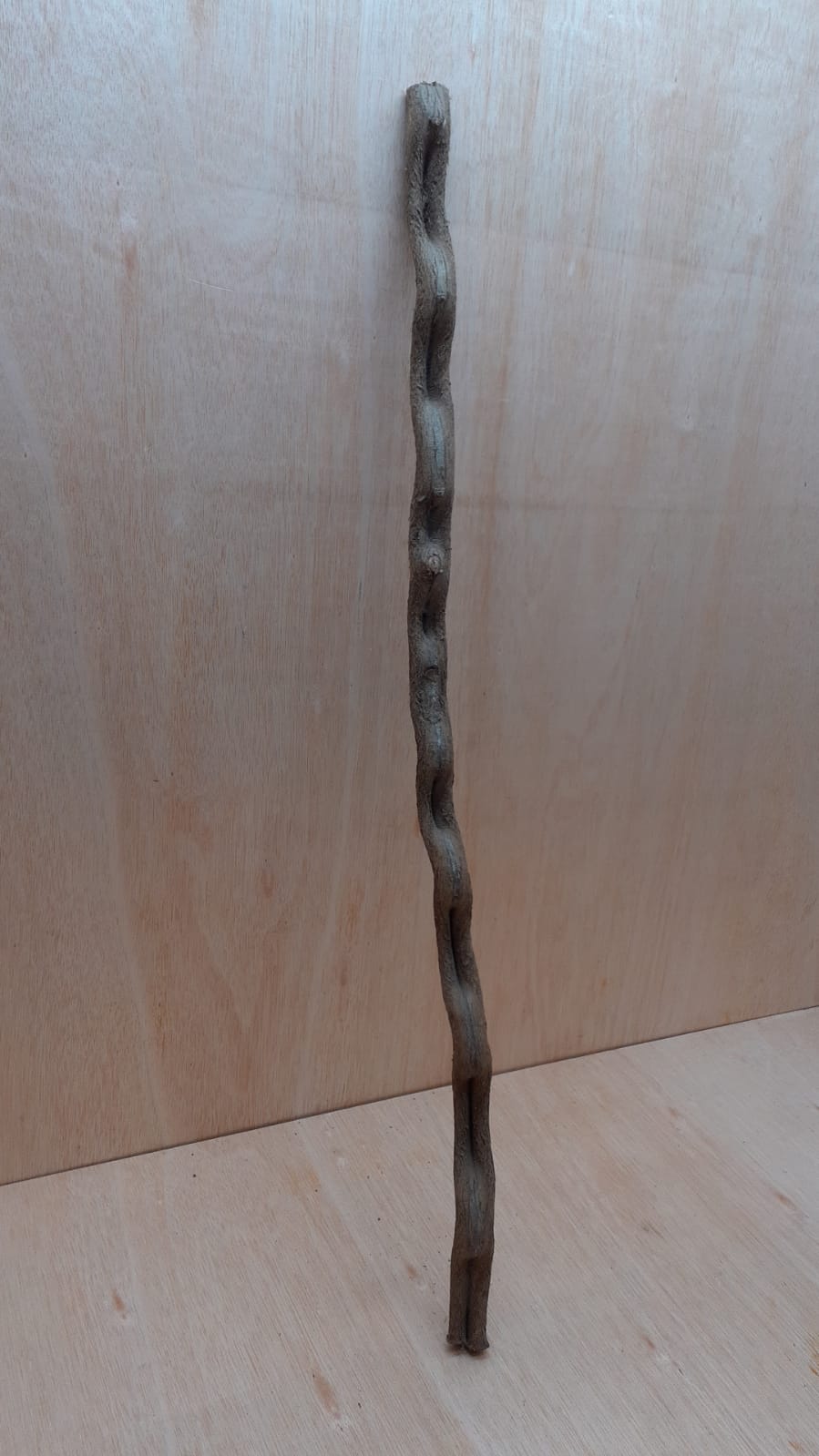 Monkey Ladder Liana - Long - 6