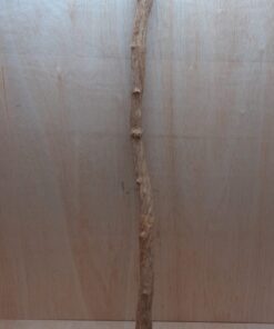 Straight Liana 4-5cm - Long - 2