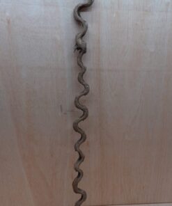 Monkey Ladder Liana - Long - 10