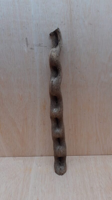 Monkey Ladder Liana - Short - 1